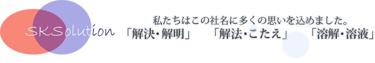 SKソリューションの名前の由来